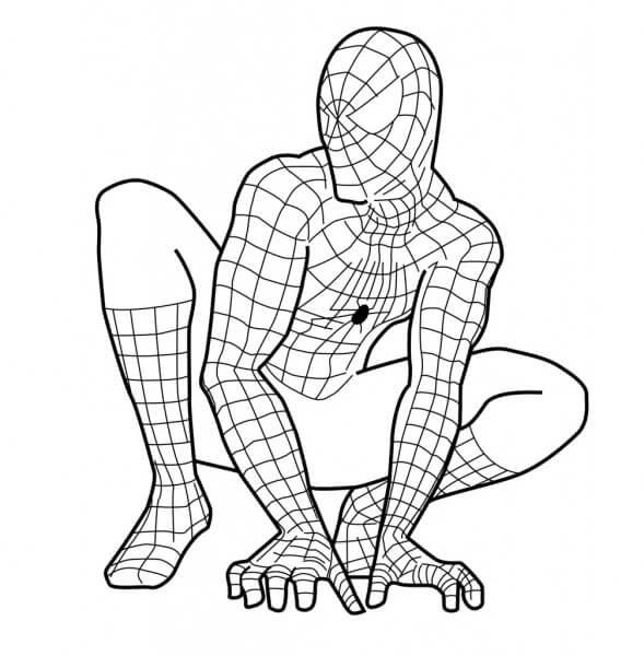 Tranh Tô Màu Người Nhện  Siêu Anh Hùng Spider Man