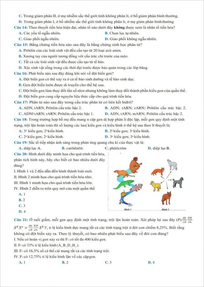 câu 14 đến 21 trang 2 đề thi sinh chuyên thái binh