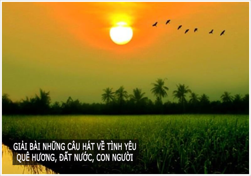 Tình yêu quê hương là tình cảm thiêng liêng và không thể nào phai mờ trong cuộc đời. Hình ảnh về tình yêu quê hương sẽ khiến bạn cảm thấy tự hào vì là người Việt Nam và yêu quê hương của mình ngày càng sâu đậm hơn.