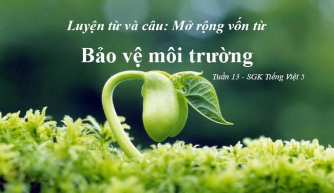 luyện từ và câu mở rộng vốn từ: Bảo vệ môi trường Tuần 13