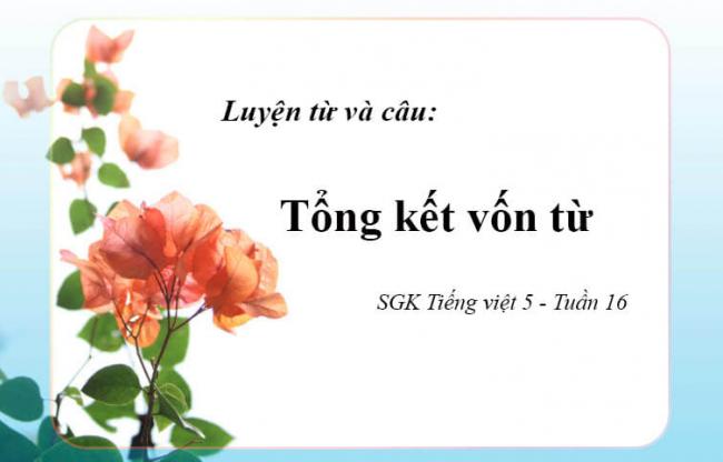 Luyện từ và câu: Tổng kết vốn từ SGK Tiếng việt 5 Tuần 16