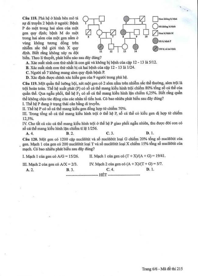 Đáp án đề thi môn Sinh 215 THPT Quốc Gia năm 2017 trang 6