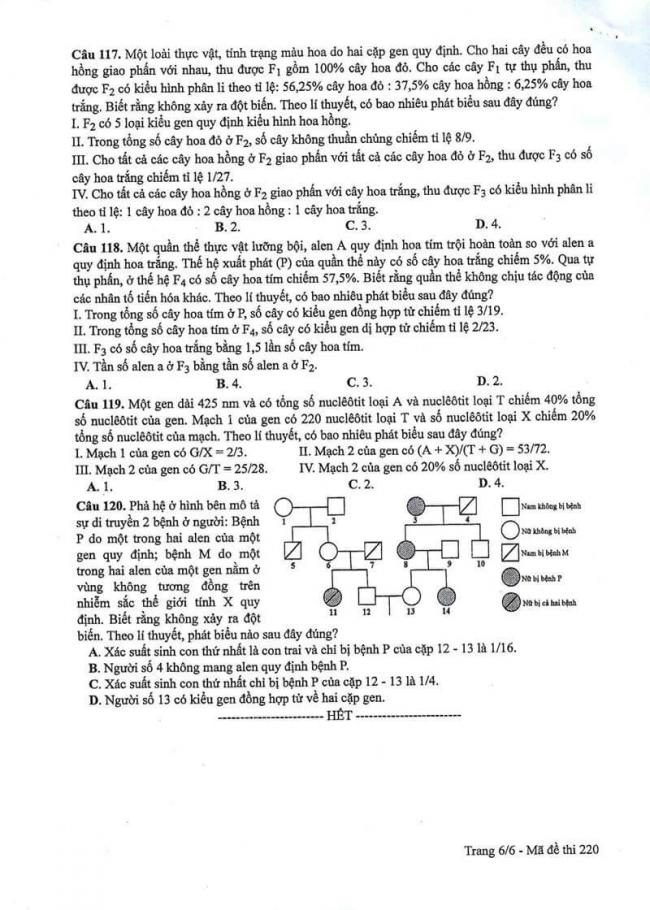 Đáp án đề thi môn Sinh 220 THPT Quốc Gia năm 2017 trang 6