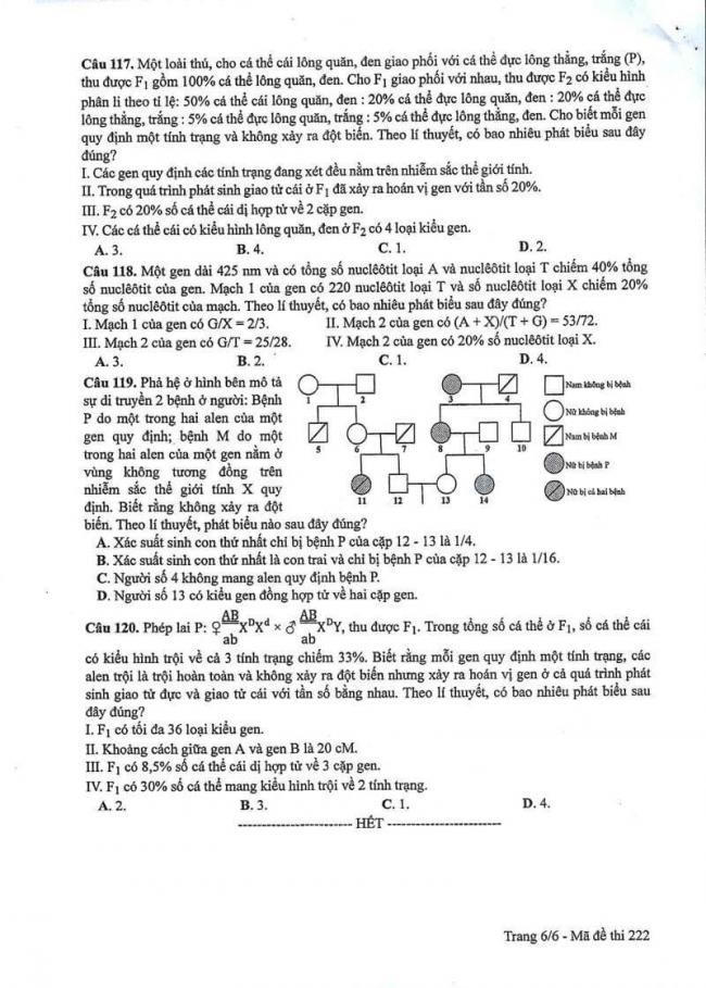 Đáp án đề thi môn Sinh 222 THPT Quốc Gia năm 2017 trang 6