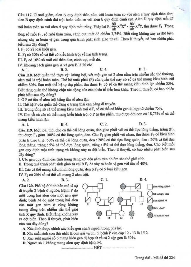 Đáp án đề thi môn Sinh 224 THPT Quốc Gia năm 2017 trang 6