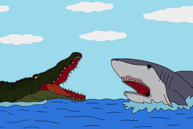 Soạn bài tập đọc Cá sấu sợ cá mập trang 74 SGK Tiếng Việt 2 tập 2