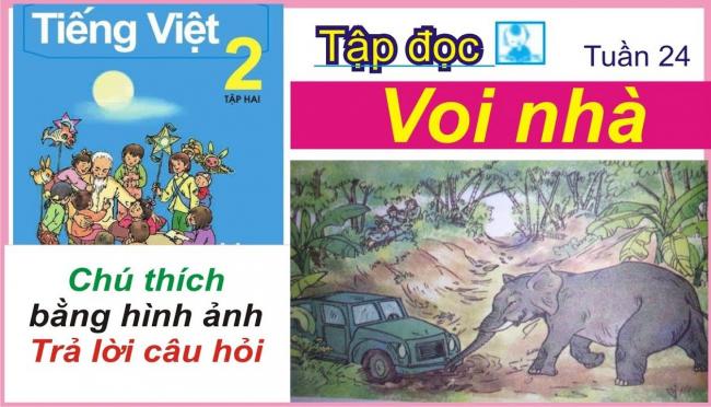Soạn bài tập đọc Voi nhà trang 56 SGK Tiếng Việt 2 tập 2