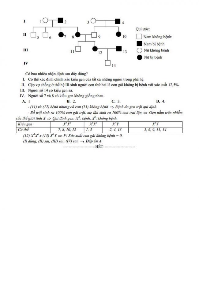 Đáp án Đề thi thử môn Sinh thptqg năm 2018 trường Chuyên Bến Tre trang 8