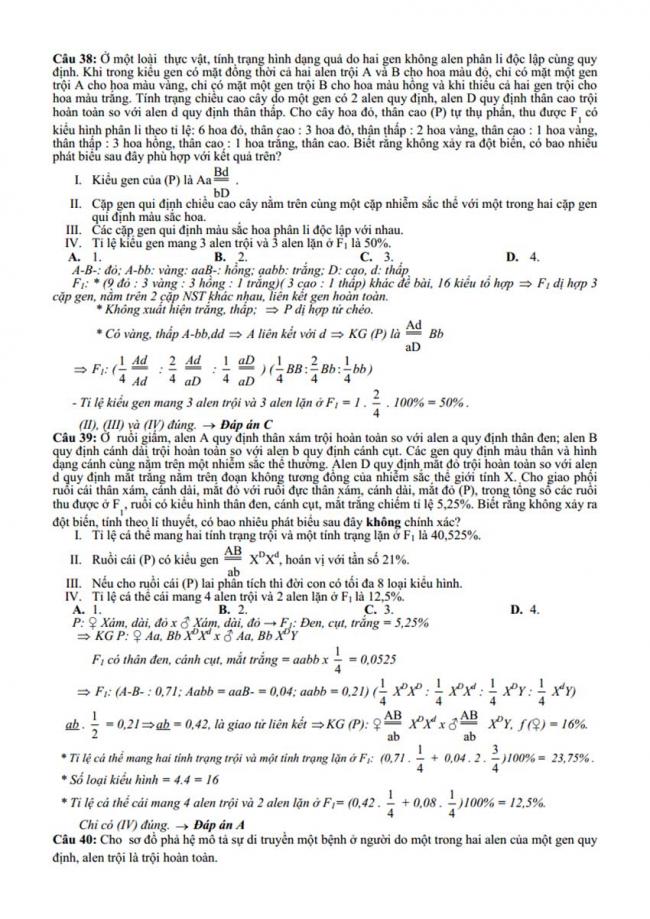 Đáp án Đề thi thử môn Sinh thptqg năm 2018 trường Chuyên Bến Tre trang 7