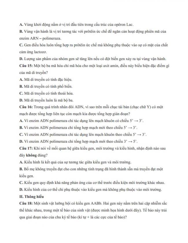 Đề thi thử môn Sinh thptqg năm 2018 trường Hà Huy Tập – Nghệ An trang 4