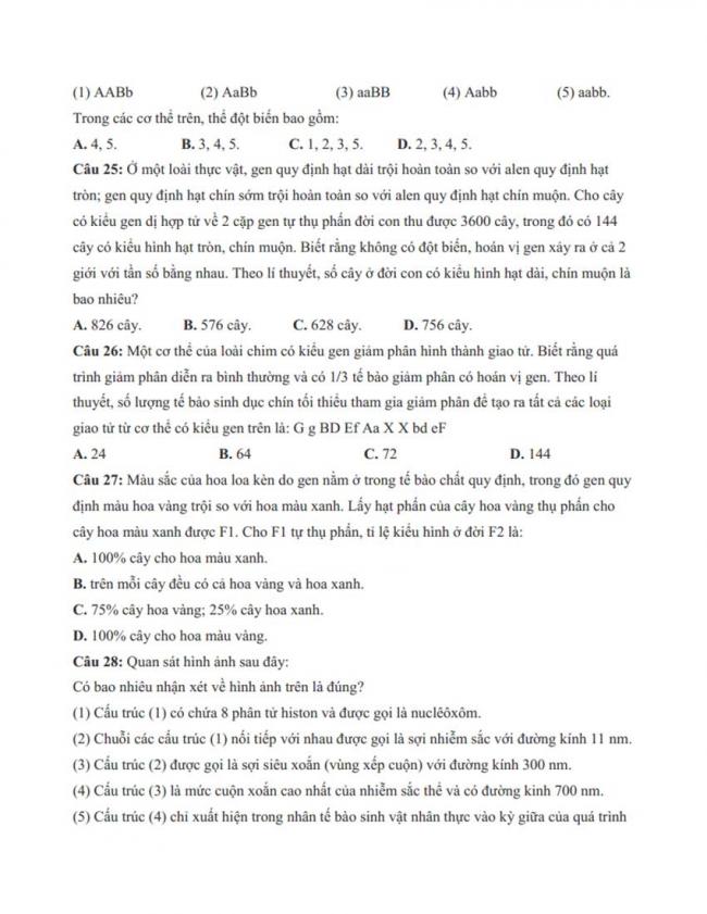 Đề thi thử môn Sinh thptqg năm 2018 trường Hà Huy Tập – Nghệ An trang 6