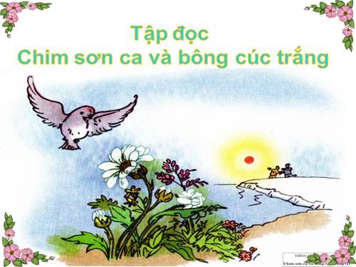 Soạn bài tập đọc Chim sơn ca và bông cúc trắng trang 23 SGK Tiếng Việt 2 tập 2