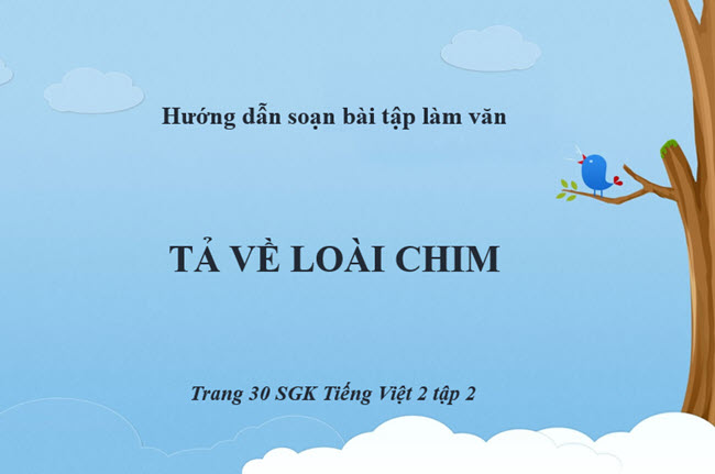 Soạn bài tập làm văn Tả về loài chim trang 30 SGK Tiếng Việt 2 tập 2