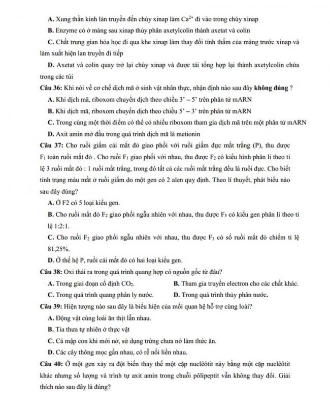 Đề thi thử môn Sinh thptqg năm 2018 trường Chuyên Hà Giang – Hà Giang trang 8