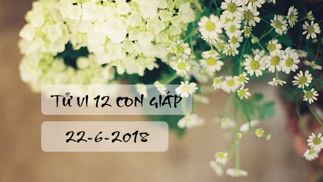 Tử vi 12 con giáp thứ 6 ngày 22/6/2018