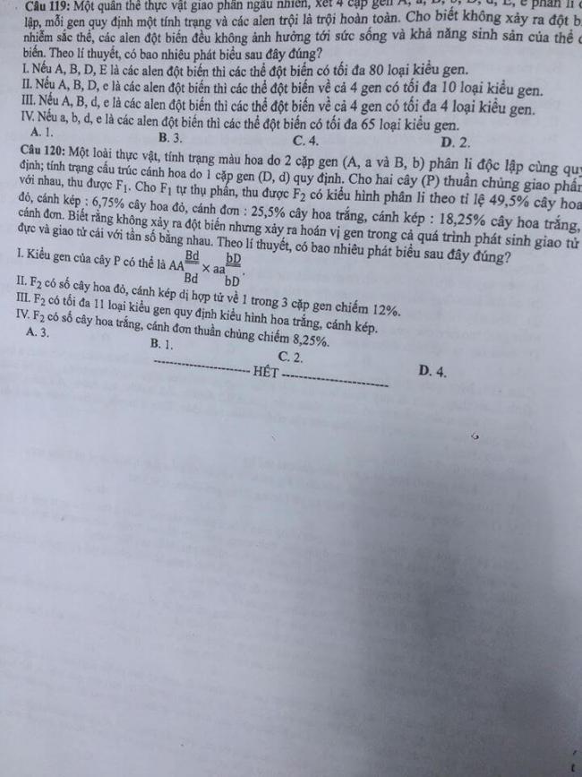 Đề thi Sinh mã 207 tốt nghiệp THPTQG năm 2018 trang 6