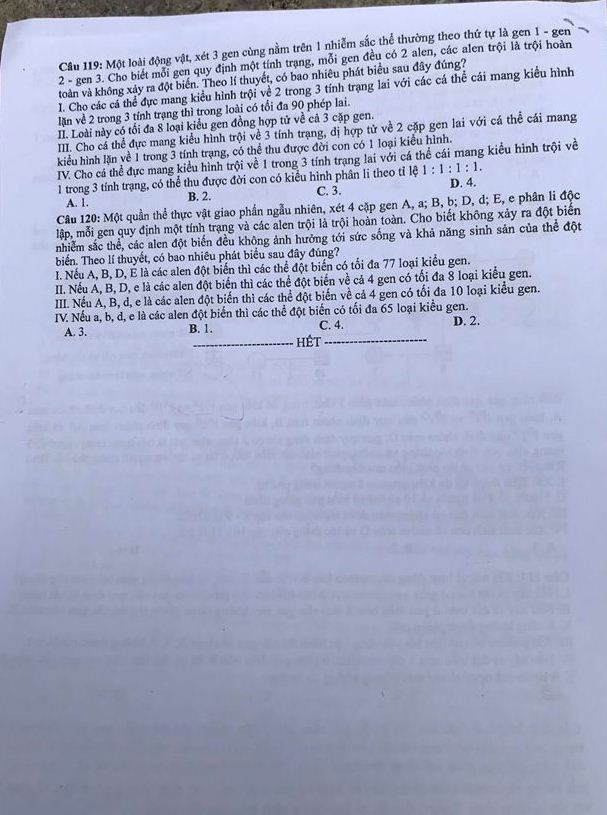 Đề thi Sinh mã 221 tốt nghiệp THPTQG năm 2018 trang 6