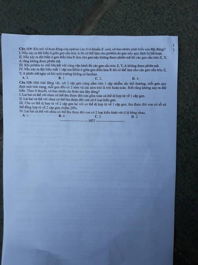 Đề thi Sinh mã 213 tốt nghiệp THPTQG năm 2018 trang 6