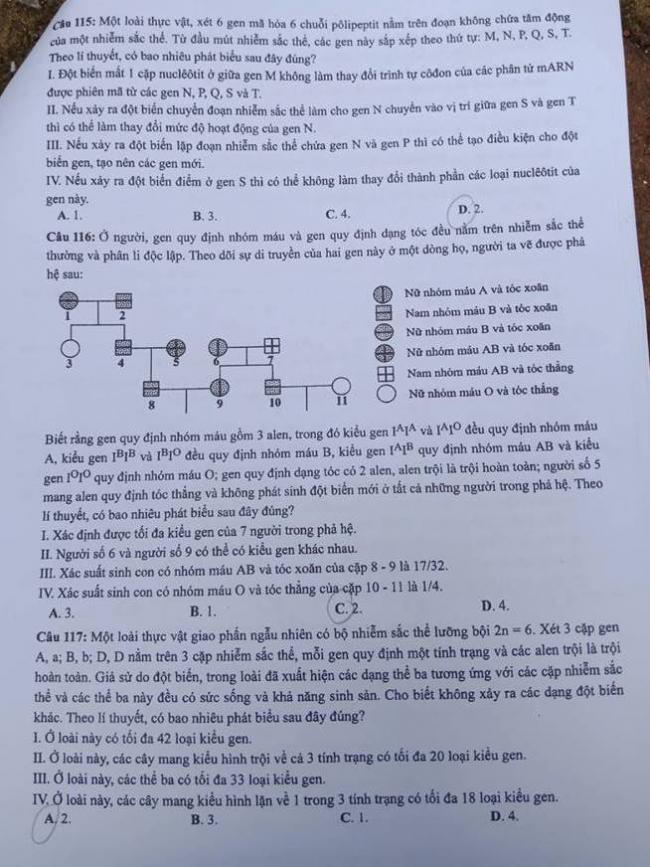 Đề thi Sinh mã 224 tốt nghiệp THPTQG năm 2018 trang 5