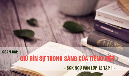 Soạn bài Giữ gìn sự trong sáng của tiếng Việt | Soạn văn 12