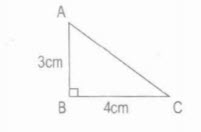 Tính diện tích hình tam giác vuông ABC