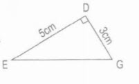 Tính diện tích hình tam giác vuông DEG