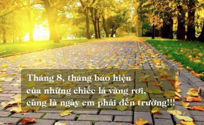 stt chào tháng 8 hay và ý nghĩa