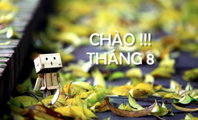 stt chào tháng 8 hay và ý nghĩa nhất