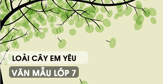 Biểu cảm về loài cây em yêu