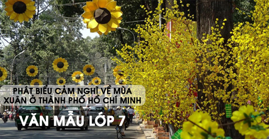 Phát biểu cảm nghĩ về mùa xuân ở Thành phố Hồ Chí Minh – Văn mẫu 7