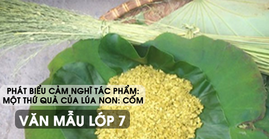 Phát biểu cảm nghĩ về tác phẩm Một thứ quà của lúa non Cốm – Văn mẫu 7