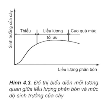 Hình 4.3 : đồ thị biểu diễn mối tương quan giữa liều lượng phân bón và độ sinh trưởng của cây