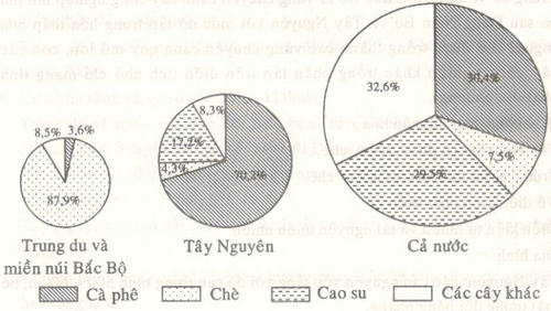 Vẽ biểu đồ.