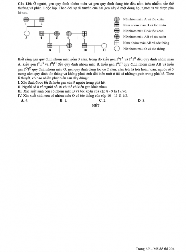 Đáp án đề thi Sinh mã đề 204 - THPT Quốc Gia 2018 6