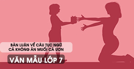 Bàn luận về câu tục ngữ Cá không ăn muối cá ươn – Văn mẫu 7