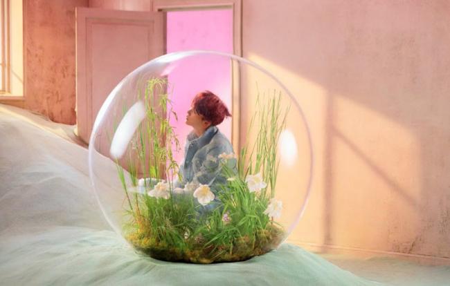 Concept phiên bản E 6