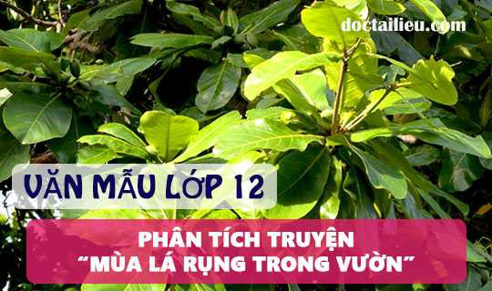 Phân tích truyện Mùa lá rụng trong vườn (Ma Văn Kháng)