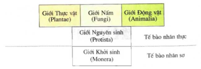 đáp án bài 1 trang 12 sgk sinh học 10