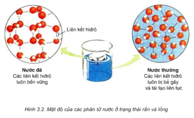 câu hỏi thảo luận trang 17 sgk sinh học 10