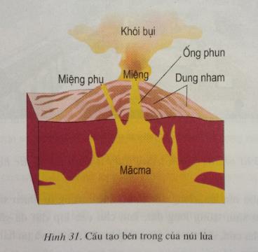 Hình 31 bài 12 SGK Địa lí lớp 6