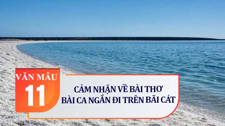 Cảm nhận về bài thơ Bài ca ngắn đi trên bãi cát (Cao Bá Quát)