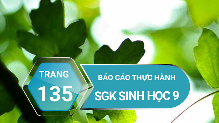 Bài 45 - 46 Trang 135 Sgk Sinh 9 |Giải Bài Tập Sgk Sinh Học Lớp 9