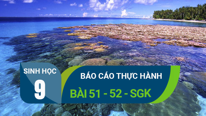 Báo cáo thực hành: Bài 51 - 52 sgk Sinh 9 |Giải bài tập SGK Sinh học lớp 9