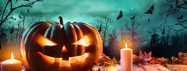 Halloween luôn là thời điểm của những trải nghiệm đầy kinh dị và thú vị. Cùng khám phá những hình ảnh đáng sợ nhưng không kém phần nổi bật về Halloween để tận hưởng bầu không khí sợ hãi của đêm hội này.