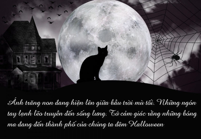 STT halloween hay, cap halloween hay hình ảnh 2