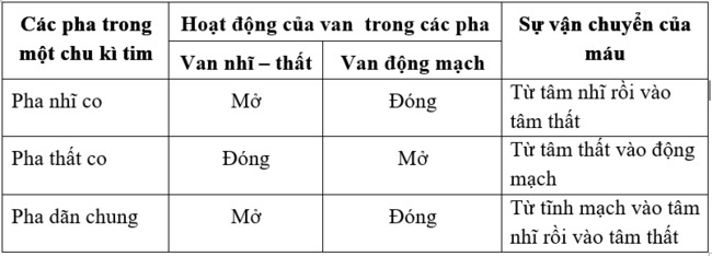 Hoạt động của các van trong sự vận chuyển máu