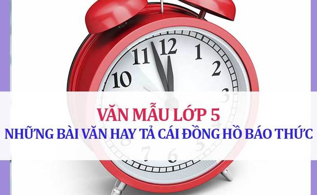 Top 15 Bài văn tả chiếc đồng hồ báo thức hay nhất - toplist.vn