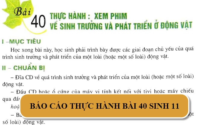 Báo cáo thực hành bài 40 sinh học lớp 11 - Giải sinh 11