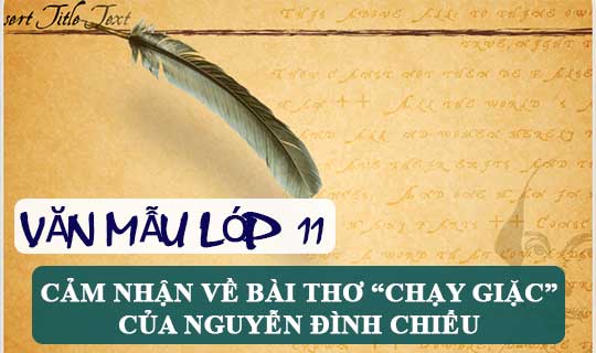 Phát biểu cảm nhận về bài thơ Chạy giặc – Nguyễn Đình Chiểu