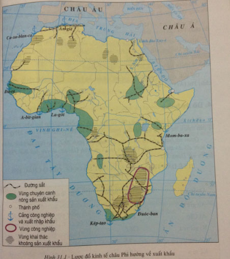 các tuyến đường sắt quan trọng ở châu Phi chủ yếu phục vụ cho hoạt động xuất khẩu.
